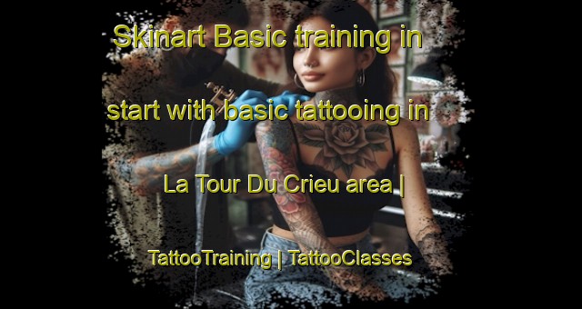 Skinart Basic training in start with basic tattooing in La Tour Du Crieu area | TattooTraining | TattooClasses | SkinartTraining-France